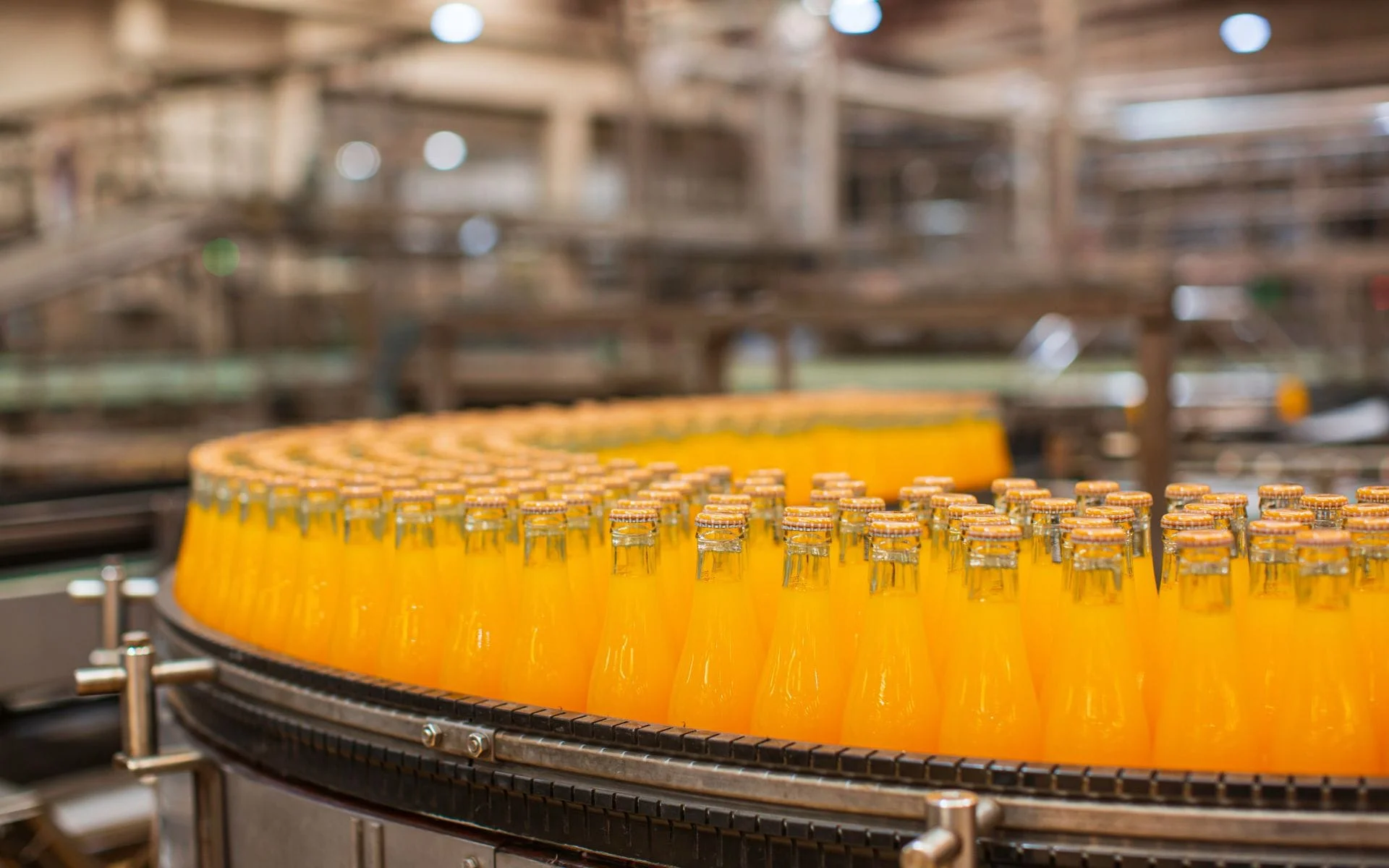 aplikasi mesin coding untuk industri makanan