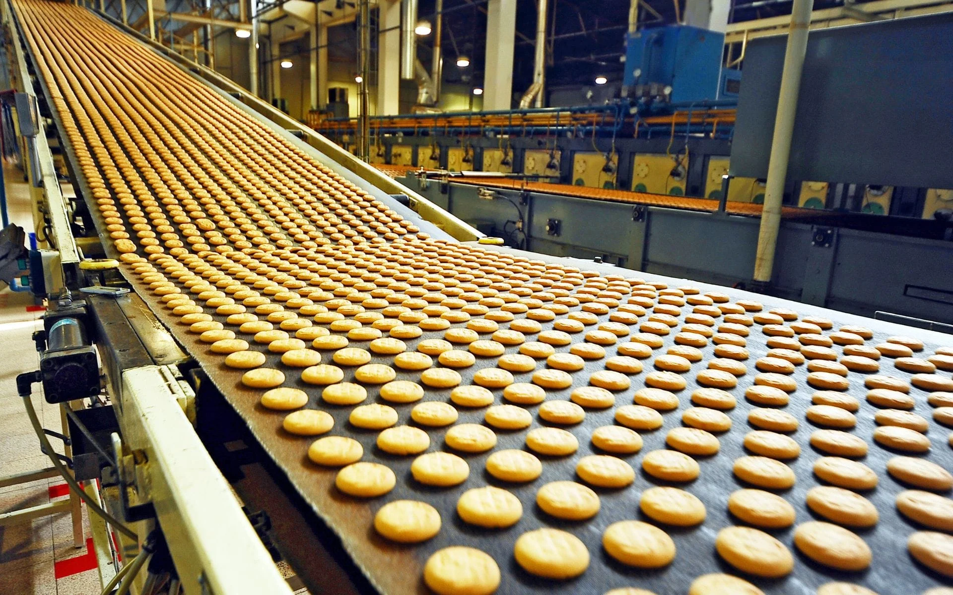 perusahaan kookies di pabrik cookies